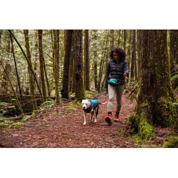 Eine Person führt einen Hund auf einem Waldweg, umgeben von hohen Bäumen und üppigem Grün. Der Hund trägt ein blaues Geschirr.
