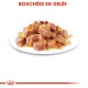 Bouchées en gelée, une assiette de morceaux de nourriture pour animaux humides, recouverts de gelée, présentés sur une assiette blanche avec un logo de couronne rouge en dessous.