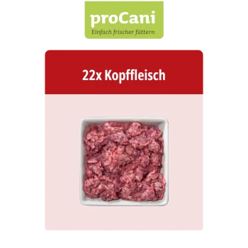 Verpacktes rohes Rindfleischkopf-Fleisch für Hunde, beschriftet mit 'proCani buy nature', mit einer Notiz auf Deutsch über natürliche Zutaten. Menge: 22x.
