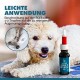 Ein flauschiger weißer Hund liegt neben einer Flasche Augenpflege-Lösung mit der Aufschrift "Augenpflege 20ml", mit Anwendungshinweisen auf Deutsch.