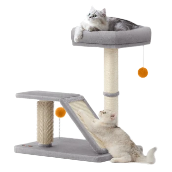 Zwei Katzen spielen auf einem grauen Katzenbaum; eine liegt auf einer oberen Plattform, während die andere eine Rampe kratzt, mit hängenden orangen Bällen.