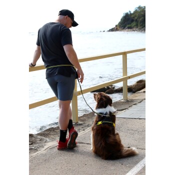 Eine Person in einem schwarzen T-Shirt und grauen Shorts steht an einem Geländer und schaut auf einen braun-weißen Hund mit Geschirr, in der Nähe des Wassers.