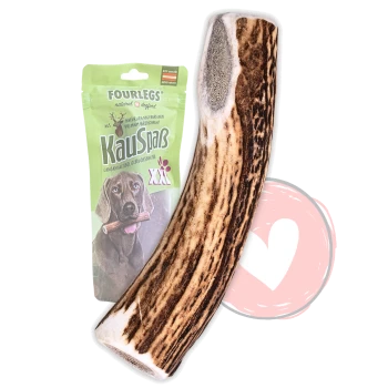 Großes Hirschgeweih-Kauzeug, angelehnt an eine grüne FOURLEGS KauSpaß XXL Hundesnack-Tasche (Hundabbildung auf der Tasche).