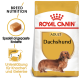 Royal Canin Adult Dachshund Hundefutterbeutel mit einem langhaarigen Dachshund, mit Text, der die Rassenernährung und Gelenkunterstützung hervorhebt.