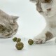 Zwei Katzen interagieren mit kleinen, runden grünen Leckerlis auf einer weißen Oberfläche, eine Katze schnüffelt und die andere greift mit ihrer Pfote danach.