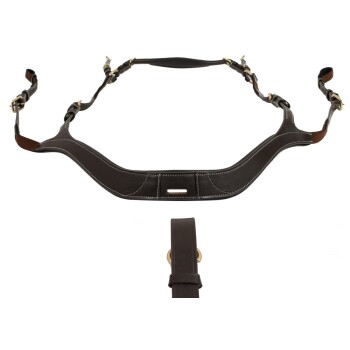 Braunes Leder-Haustiergeschirr mit verstellbaren Riemen und goldenen Schnallen, mit einem gepolsterten Bruststück für Komfort.