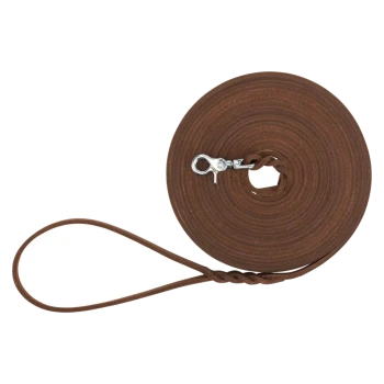 Eine gerollte braune Lederhundeleine mit einem silbernen Metallclip, die einen geflochtenen Griff für besseren Halt hat.