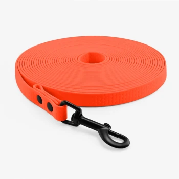 Schleppleine Orange 5 m Helle orangefarbene Haustierleine, kreisförmig aufgerollt mit einem schwarzen Metallclip zur Befestigung.