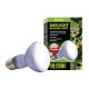 Ampoule Exo Terra Daylight Basking Spot de 50W avec emballage, étiquetée 'Multi-Usage', conçue pour les reptiles et les amphibiens.