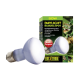 50W Exo Terra Daylight Basking Spot Glühbirne mit Verpackung, beschriftet 'Vielseitig', entworfen für Reptilien und Amphibien.