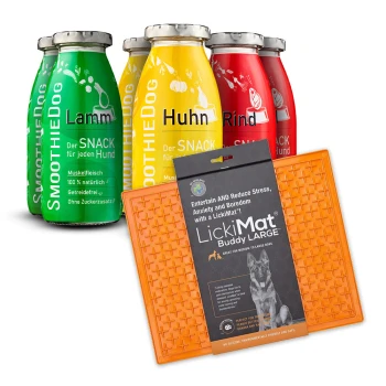 Vier bunte Smoothie-Flaschen mit den Aufschriften "Lamm," "Huhn," und "Rind" neben einem orangefarbenen LickiMat Buddy LARGE, die Haustiersnacks bewerben.