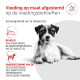 Kleine zwart-witte terriër liggend, Nederlandse voeradvertentie met tekst 'Voeding op maat afgestemd' en 'Veterinary Nutrition'-logo.
