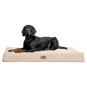 Ein schwarz-brauner Hund liegt auf einem beigen Haustierbett mit einer strukturierten Oberfläche und einem kleinen Logo-Tag.