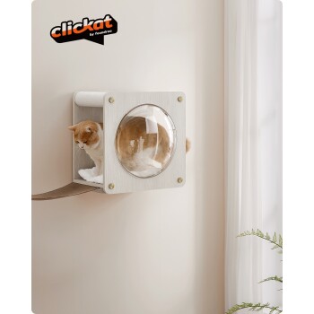 Ein gemütliches, wandmontiertes Katzenhaus mit einem klaren Fenster, weichem Innenraum und einer orangefarbenen Tabbykatze, die herauslugt. Logo "clickat by feandrea" oben.