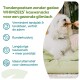 Witte pluizige hond eet een WHIMZEES kauwsnack; tekst: 'Tandenpoetsen zonder gedoe: WHIMZEES kauwsnacks voor een gezonde glimlach'.