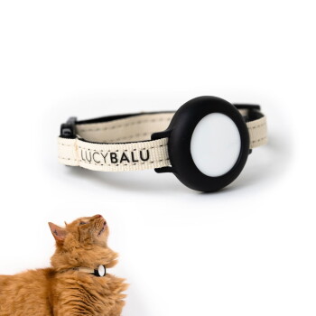 Ein beiges Katzenhalsband mit einem schwarzen runden Anhänger, auf dem der Markenname "LUCYBALU" steht, neben einer neugierigen orangefarbenen Katze, die nach oben schaut.