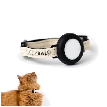 Ein beiges Katzenhalsband mit einem schwarzen runden Anhänger, auf dem der Markenname "LUCYBALU" steht, neben einer neugierigen orangefarbenen Katze, die nach oben schaut.