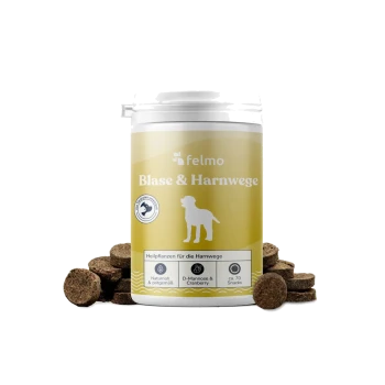 Felmo „Blase & Harnwege“ Ergänzung für Hunde im Glas mit Hundesilhouette und runden braunen Tabletten; Aufschrift: D‑Mannose & Cranberry