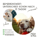 Ein Hund auf Gras mit dem Text: "Beende Magen- und Darmprobleme!" Auflistungen: Durchfall, Erbrechen, Blähungen, Appetitlosigkeit, Verstopfung. Marke: Milo & Mia.