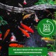 Bunte Koi-Fische in einem dunklen Teich mit einem "365 TAGE"-Abzeichen und einem Banner mit der Aufschrift "SOLIDES FISCHFUTTER FÜR EINE GESUNDE BASISVERSORGUNG."