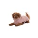 Ein brauner, lockiger Hund trägt einen weichen rosa Haustier-Hoodie und liegt mit entspanntem Gesichtsausdruck auf einem weißen Hintergrund.