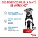Un chiot à côté d'un bol de nourriture Royal Canin, mettant en avant les avantages : texture tendre, système immunitaire fort et développement cérébral avec oméga-3.