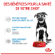 Un chiot à côté d'un bol de nourriture Royal Canin, mettant en avant les avantages : texture tendre, système immunitaire fort et développement cérébral avec oméga-3.