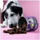 Ein schwarz-weißer Hund schnüffelt neugierig an verstreuten braunen Leckerlis aus einem umgekippten Behälter mit der Aufschrift "Chillout Drops" auf einem rosa Hintergrund.