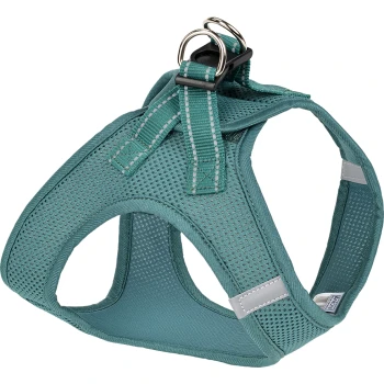Harnais pour chien en maille teal avec des sangles ajustables et des anneaux en D en métal pour attacher la laisse, conçu pour le confort et la respirabilité.