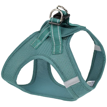Teal mesh dog harness with adjustable straps and metal D-rings for leash attachment, designed for comfort and breathability.