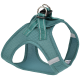 Teal Mesh-Hundegeschirr mit verstellbaren Riemen und metallenen D-Ringen zur Leinenbefestigung, entworfen für Komfort und Atmungsaktivität.
