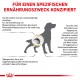 Illustration eines Hundes mit Text, der über Harnkristalle, ihre Rolle bei der Bildung von Blasensteinen und die Auswirkungen von Fettleibigkeit auf die Gesundheit von Haustieren erklärt.