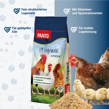 Ein großer Haufen gemischter Tierfutterzutaten, mit kleinen Stücken von Getreide, Samen und getrocknetem Gemüse, auf einem weißen Hintergrund.