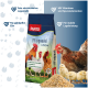 Ein großer Haufen gemischter Tierfutterzutaten, mit kleinen Stücken von Getreide, Samen und getrocknetem Gemüse, auf einem weißen Hintergrund.