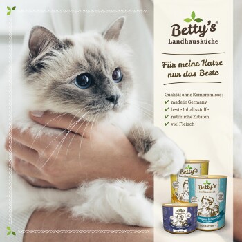 Eine Person hält eine flauschige Katze mit blauen Augen neben Dosen mit der Aufschrift "Betty's Landhausküche," die hochwertige deutsche Zutaten betont.