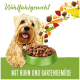 Glücklicher Hund neben einer grünen Schüssel mit Trockenfutter mit Huhn und Gartengemüse, Text „Wohlfühlgewicht“ und „Mit Huhn und Gartengemüse“.