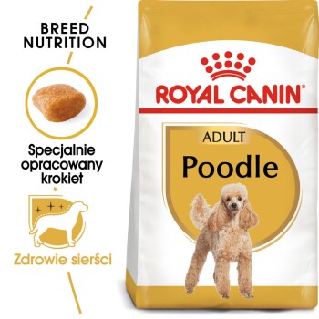 Poodle Adult 7,5 kg