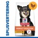 Hill's Science Plan hondenvoerzak met "Perfecte Spijsvertering" formule met kip en bruine rijst, gelabeld als door dierenartsen aanbevolen.