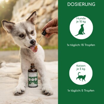 Flasche mit Bio-Hanföl, beschriftet mit "BIO HANFÖL", hebt 100% natürlich und vegan hervor, mit Omega 3 & 6, geeignet für alle Haustiere.
