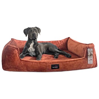 ® Orthopädisches Hundebett FRANKLIN Kuscheliger Teddy-Stoff - Hundesofa terracotta 1,3 m, 25 cm, 1 m
