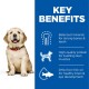 A happy golden retriever puppy sits next to a blue panel highlighting benefits: strong bones, muscle support, and brain development.