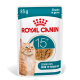 Pochette de nourriture humide Royal Canin 85 g pour chats seniors de plus de 15 ans, morceaux en sauce, avec l'image d'un chat orange.
