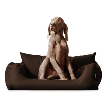 NEMO Hundebett Hundesofa S M L Hundekorb Katzenbett 65 80 100cm braun 1 m, 25 cm, 80 cm