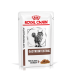 Royal Canin Veterinär Gastrointestinal Katzenfutterbeutel mit einer grauen getigerten Katze, beschriftet mit 'Dünne Scheiben in Soße.'