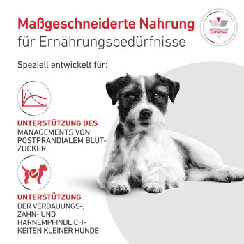 Kleiner schwarz-weißer Hund liegend; deutscher Text 'Maßgeschneiderte Nahrung für Ernährungsbedürfnisse', 'VETERINÄRE ERNÄHRUNG'-Logo.
