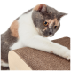 Eine dreifarbige Katze kratzt an einem strukturierten Papp-Kratzbaum, mit einer hellen Holzbasis, vor einem weißen Hintergrund.