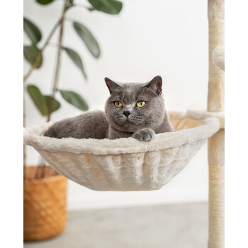 Eine graue Katze mit gelben Augen, die bequem in einer weichen, cremefarbenen Hängematte liegt, die an einem Katzenbaum befestigt ist, mit einer grünen Pflanze im Hintergrund.