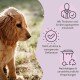 Ein golden retriever Welpe sitzt auf Gras, mit Text über von Tierärzten entwickelte Produkte, ehrliche Kennzeichnung und nachhaltige Verpackung.