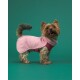 Ein verspielter Yorkshire Terrier trägt einen pinken Fleece-Mantel, steht vor einem grünen Hintergrund, mit herausgestreckter Zunge und einem glücklichen Ausdruck.