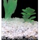 Silberman Bright Gravel 5 l